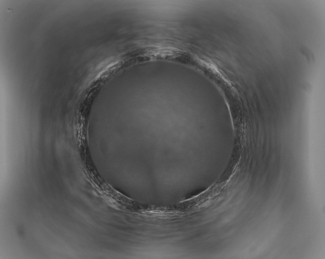 X0000112011399200908031257