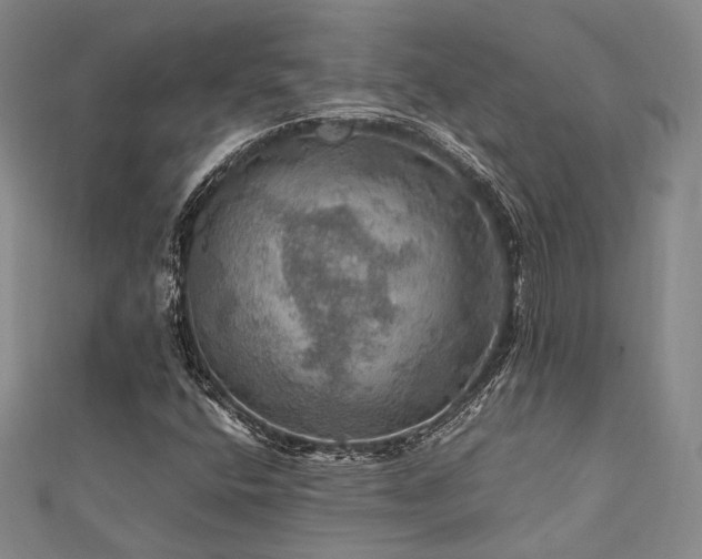 X0000112011400200908031257