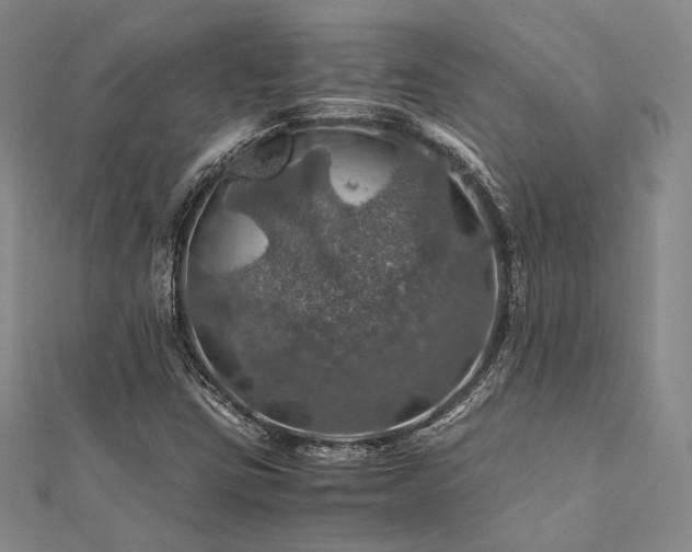 X0000112011403200908031257