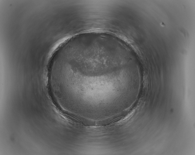 X0000112011406200908031257