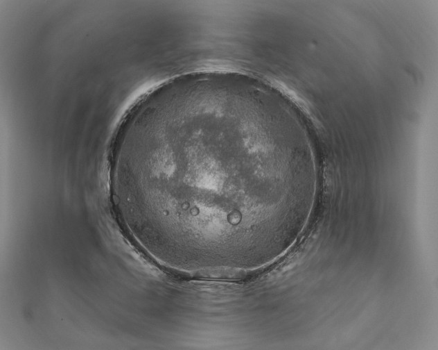 X0000112011408200908031257