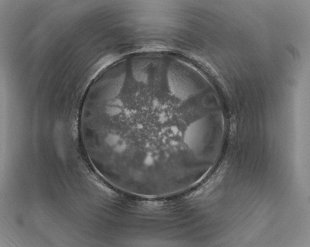 X0000112011409200908031257