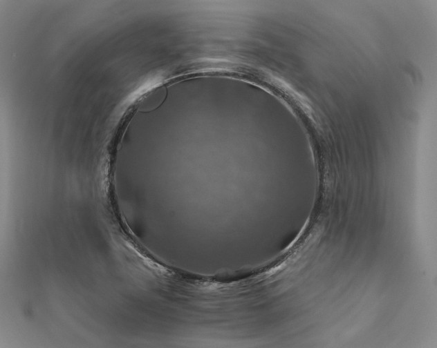 X0000112011411200908031257