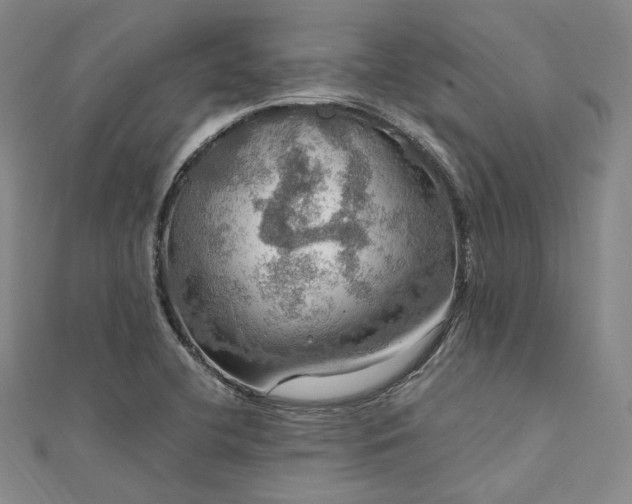 X0000112011412200908031257