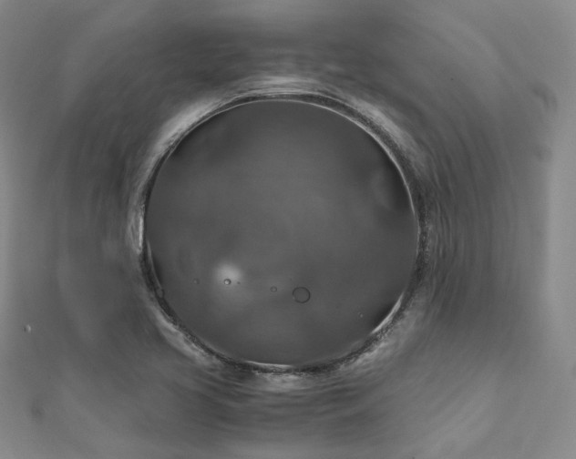 X0000112011413200908031257
