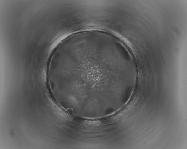 X0000112011415200908031257