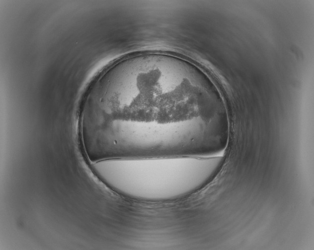 X0000112011416200908031257