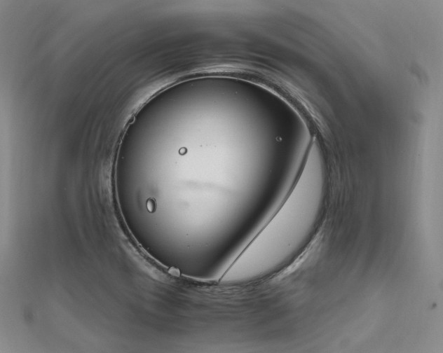 X0000112011417200908031257