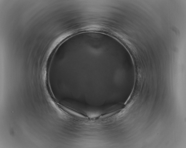 X0000112011418200908031257