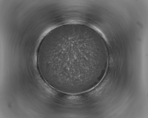 X0000112011419200908031257