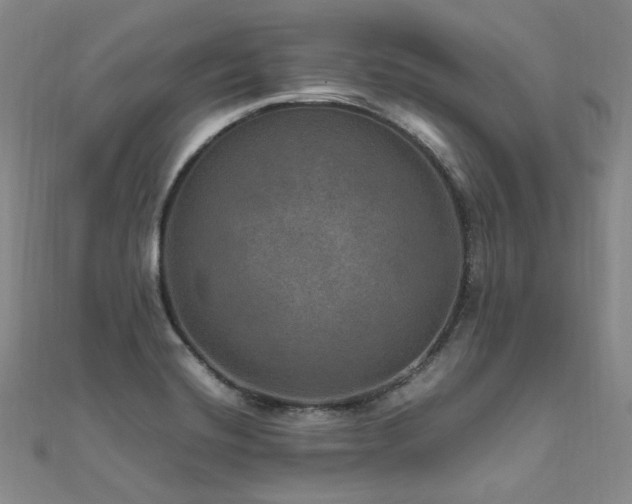 X0000112011420200908031257