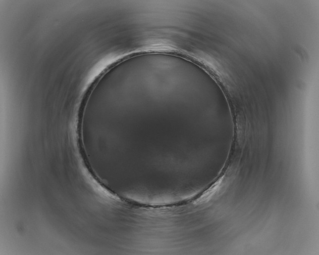X0000112011422200908031257