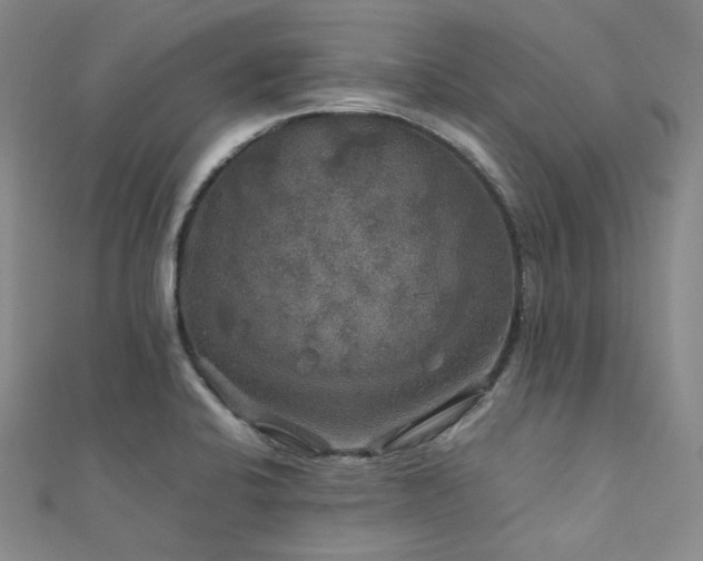 X0000112011424200908031257