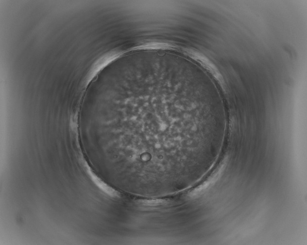 X0000112011425200908031257