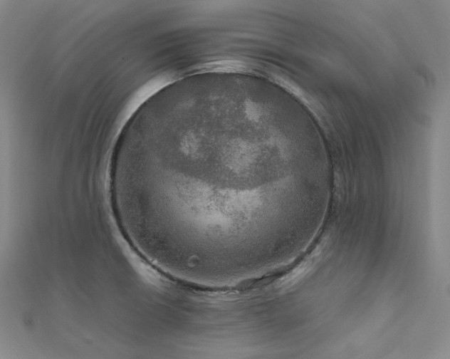 X0000112011426200908031257