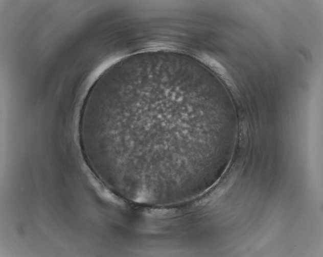 X0000112011427200908031257