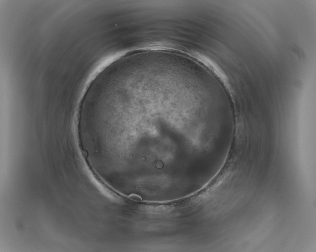 X0000112011429200908031258
