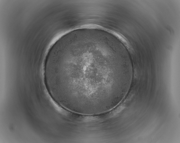 X0000112011430200908031258