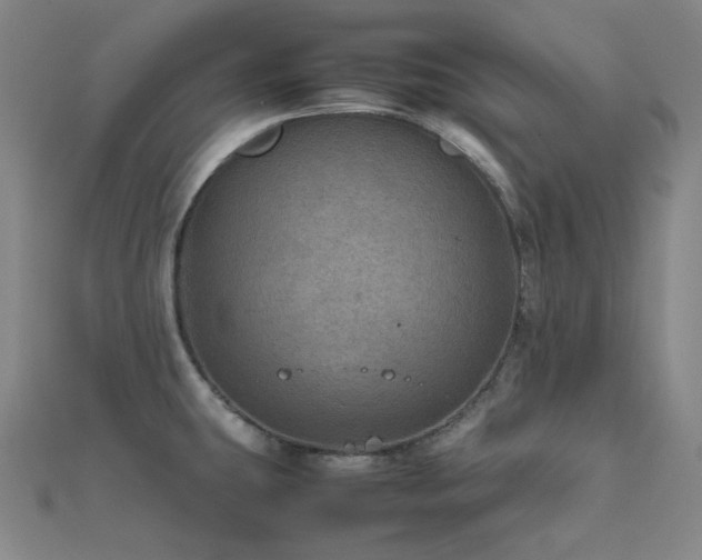X0000112011431200908031258