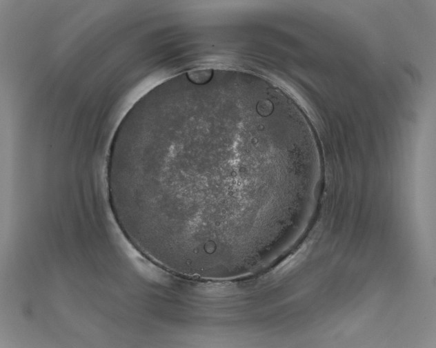 X0000112011434200908031258