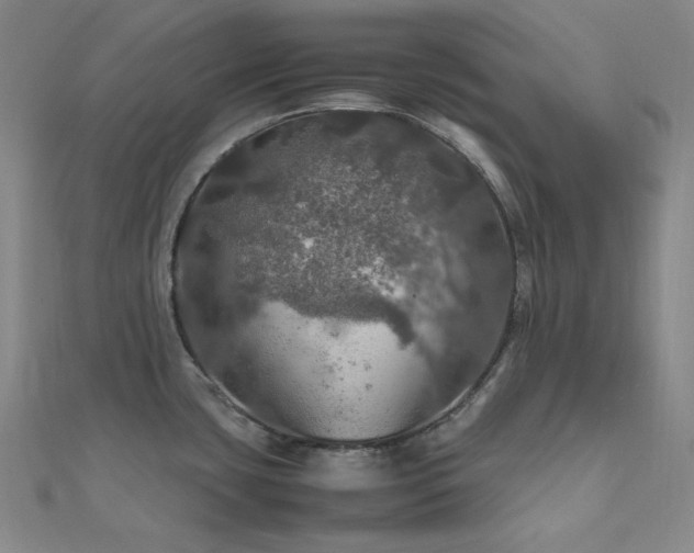 X0000112011435200908031258