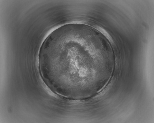 X0000112011436200908031258