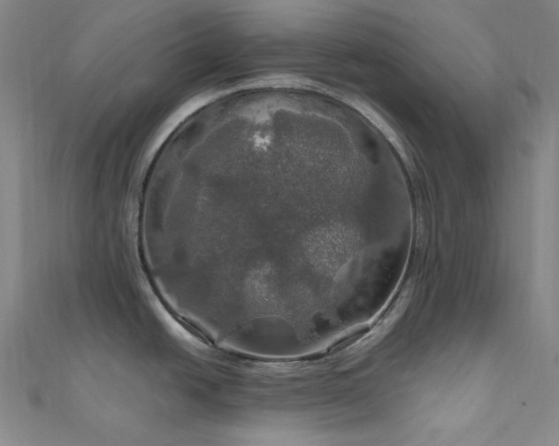 X0000112011438200908031258
