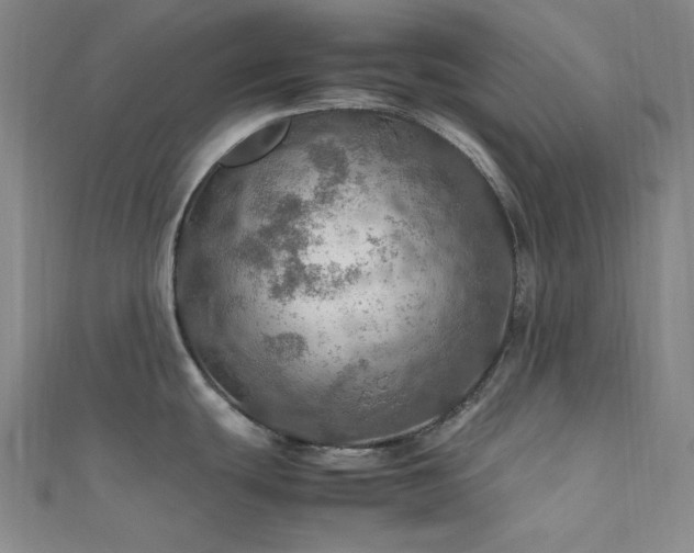 X0000112011439200908031258