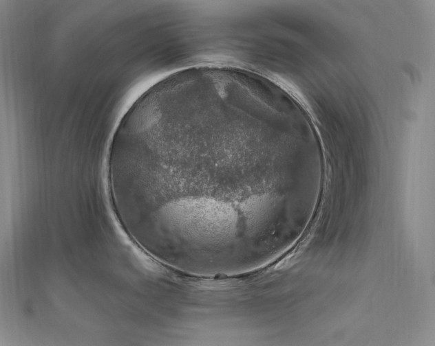 X0000112011440200908031258
