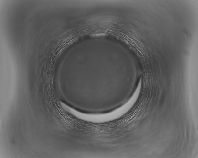 X0000112011441200908031257