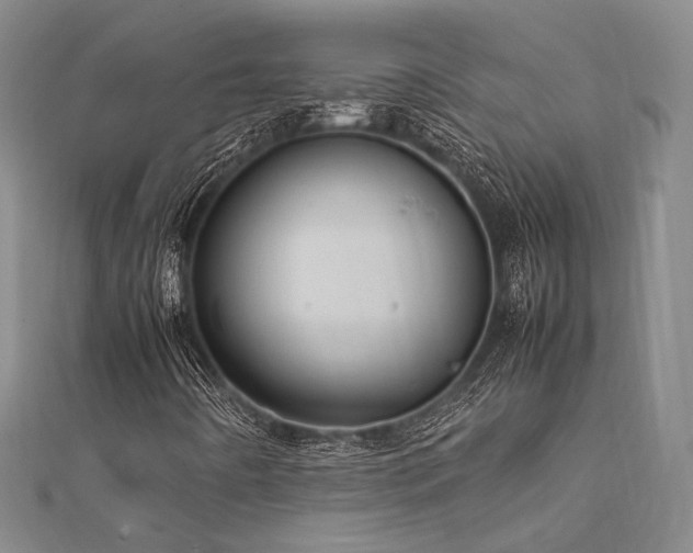 X0000112011442200908031257