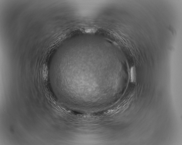 X0000112011443200908031257
