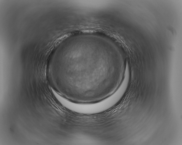 X0000112011444200908031257