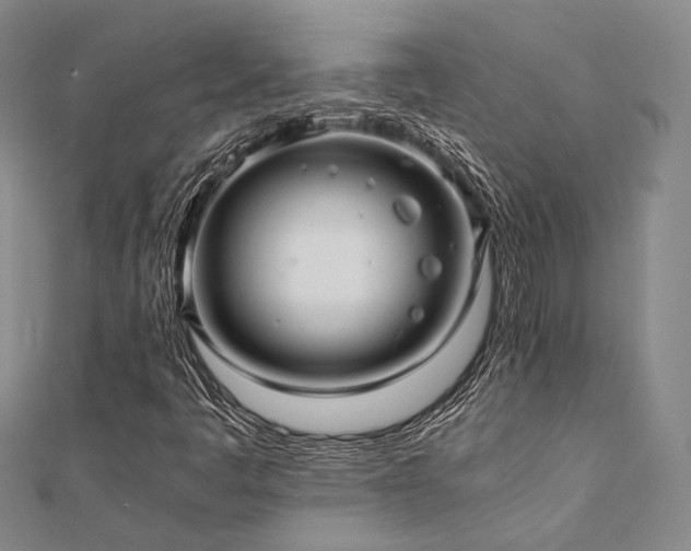 X0000112011445200908031257