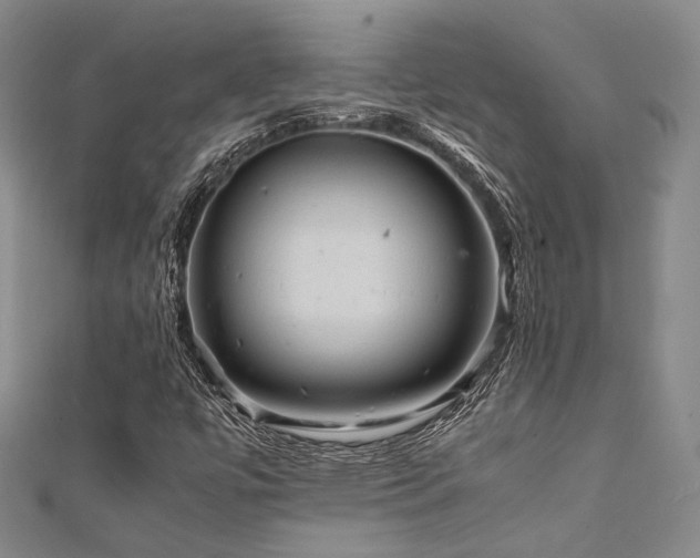 X0000112011447200908031257