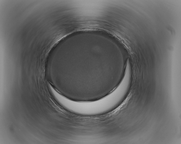 X0000112011449200908031257