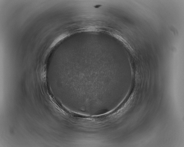 X0000112011450200908031257