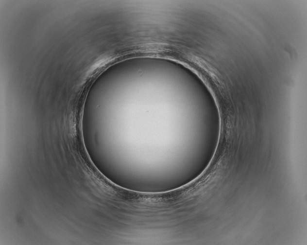 X0000112011451200908031257