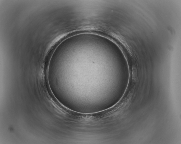X0000112011452200908031257