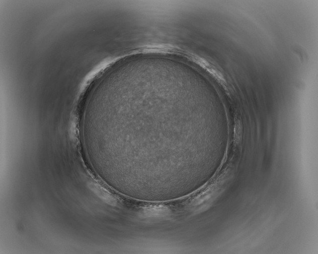X0000112011454200908031257