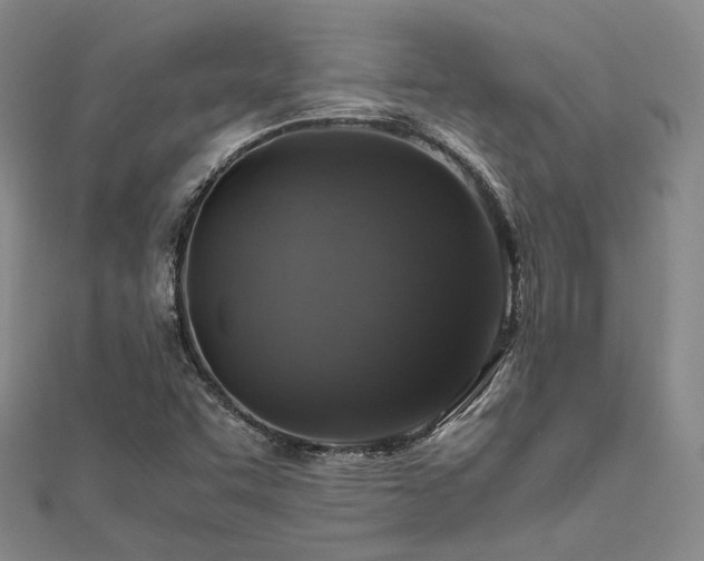 X0000112011455200908031257