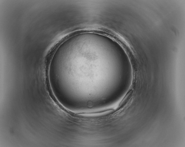 X0000112011456200908031257