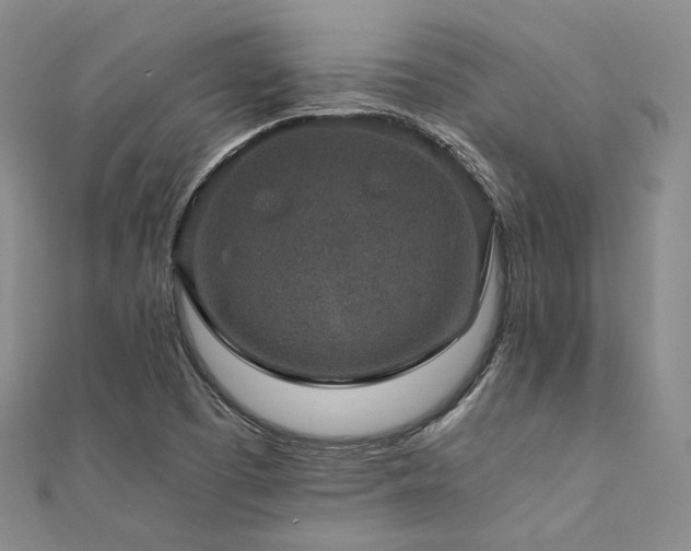 X0000112011457200908031257