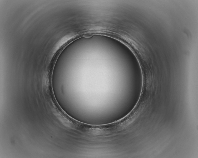 X0000112011458200908031257