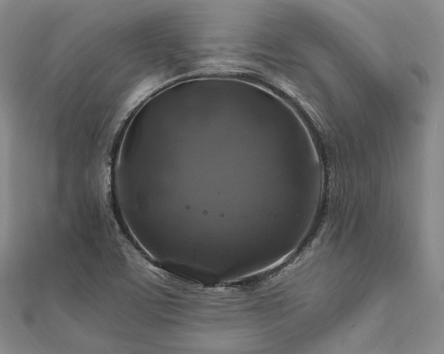 X0000112011459200908031257