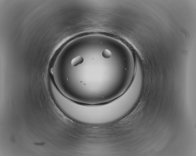 X0000112011460200908031257