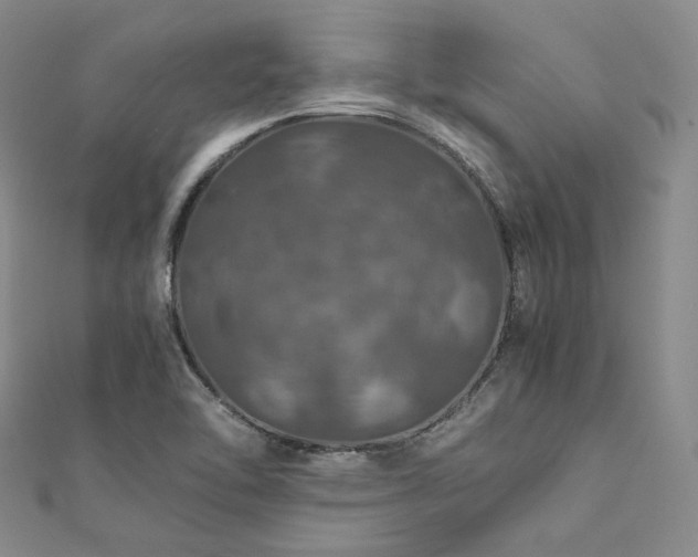 X0000112011462200908031257