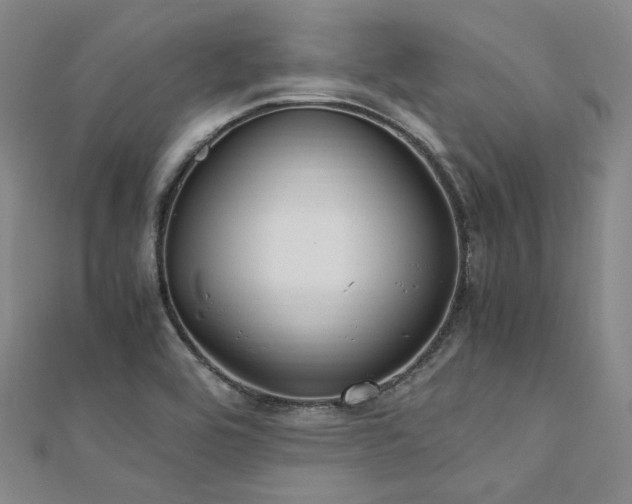 X0000112011464200908031256