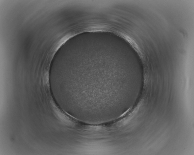 X0000112011465200908031256