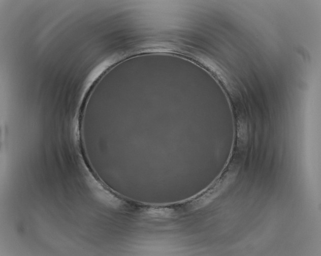 X0000112011466200908031256